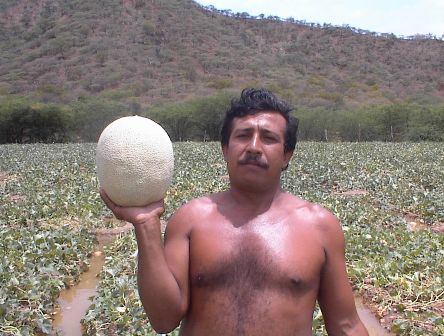 Trabajador sin camisa no respeta normas de seguridad industrial